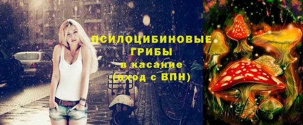 стафф Покровск