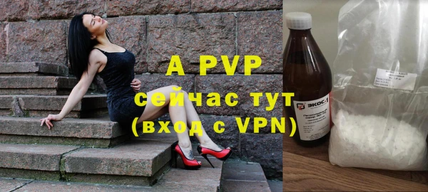 стафф Покровск