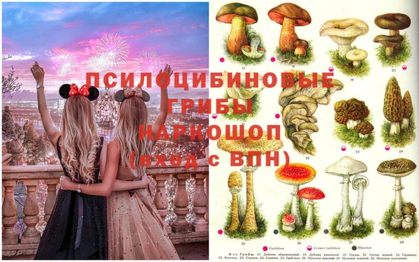 spice Покров