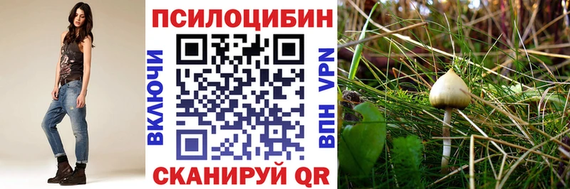 наркота  Северо-Курильск  Галлюциногенные грибы Cubensis 